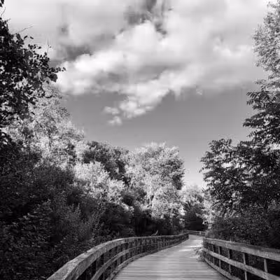 Mill Creek Park North - Dexter,