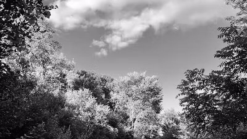 Mill Creek Park North - Dexter,