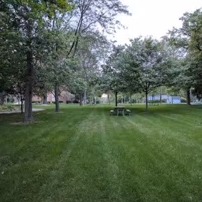 Peace Park - Dexter,