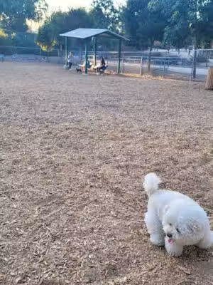 Pantera Dog Park - Diamond Bar, CA