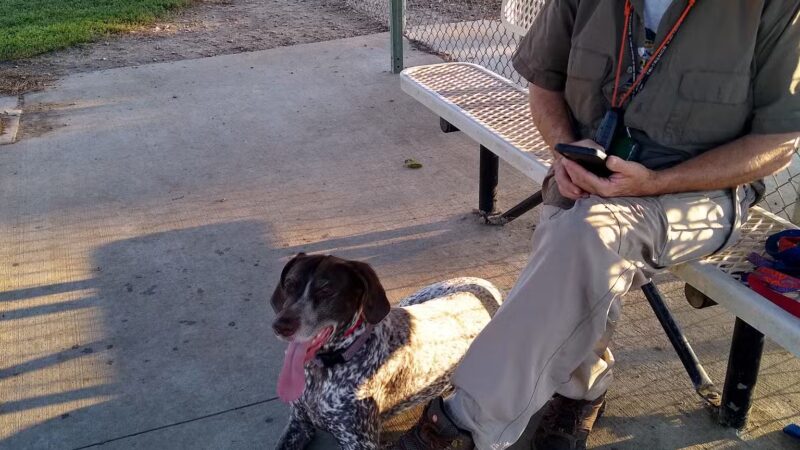 Dickinson Dog Park - Dickinson, ND