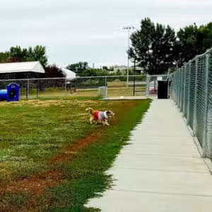 Dickinson Dog Park - Dickinson, ND