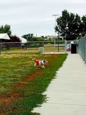 Dickinson Dog Park - Dickinson, ND