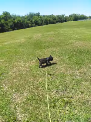 Ray Holbrook Park - Dickinson, TX