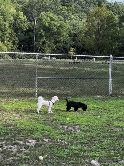 Riverfront Park - Dickson City, PA