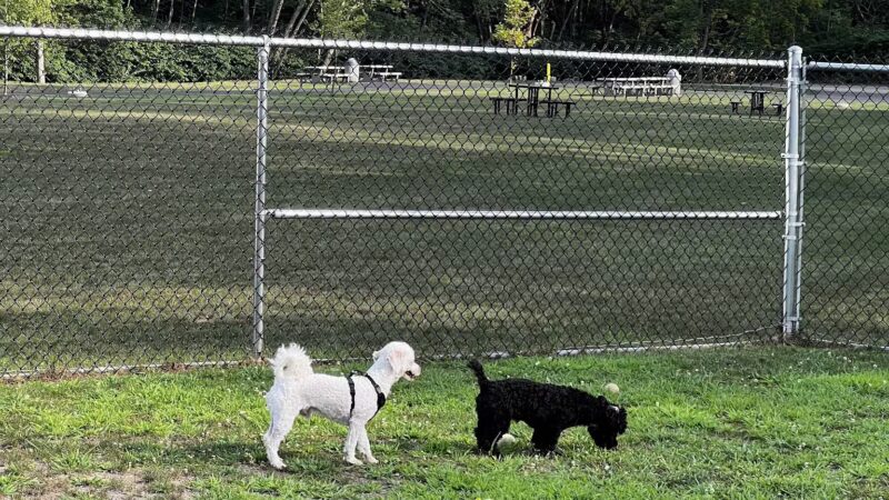 Riverfront Park - Dickson City, PA