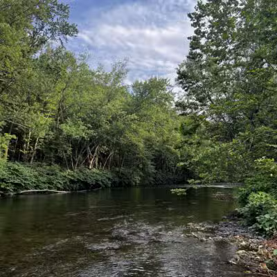 Riverfront Park - Dickson City, PA