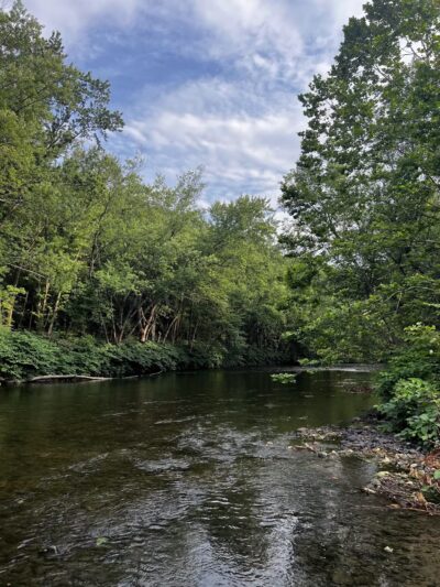 Riverfront Park - Dickson City, PA