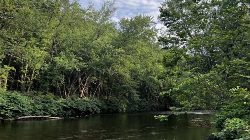 Riverfront Park - Dickson City, PA