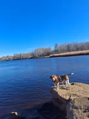 Sweets Knoll State Park - Dighton, MA