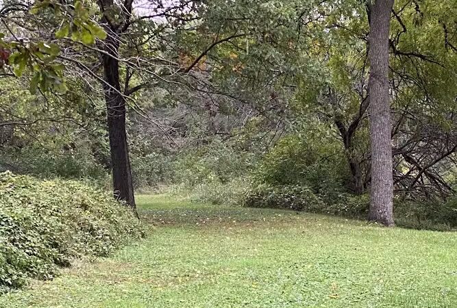 J.H. Roadman Memorial Park - Dike, IA