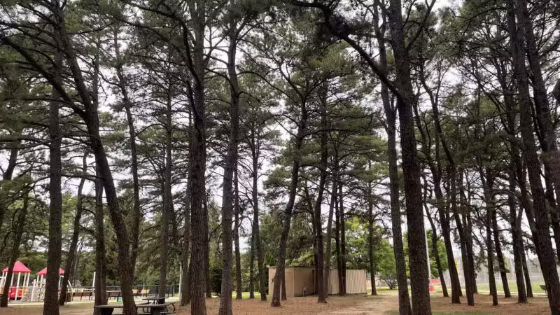 Otsego Park - Dix Hills, NY