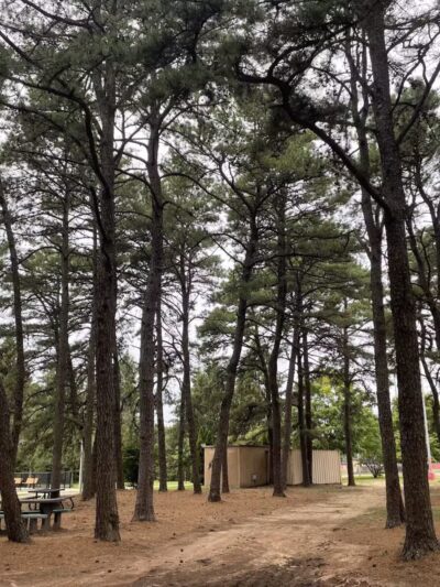 Otsego Park - Dix Hills, NY