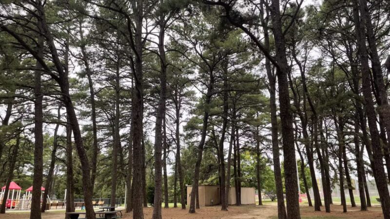 Otsego Park - Dix Hills, NY