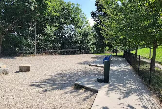 Ronan Dog Park - Dorchester, MA