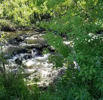 Dorr Township North Park - Dorr,