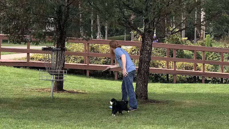 Dorr Township North Park - Dorr,