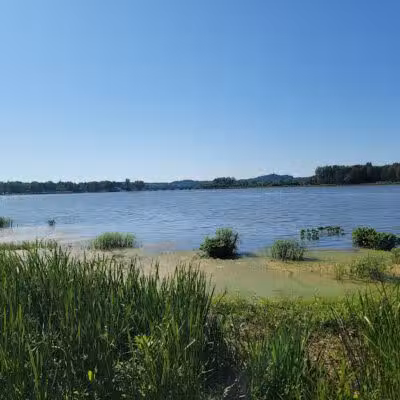 Schultz Park - Douglas,