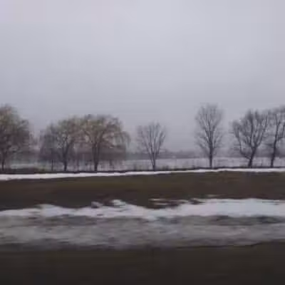 Schultz Park - Douglas,