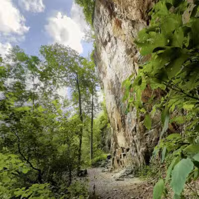 Birdsboro Preserve - Douglassville, PA