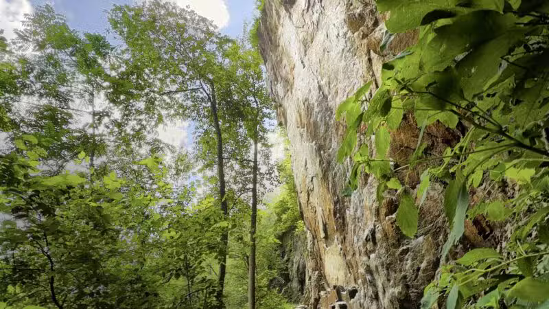 Birdsboro Preserve - Douglassville, PA