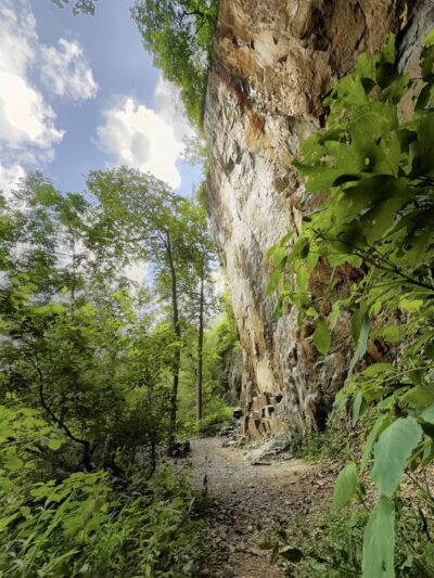Birdsboro Preserve - Douglassville, PA