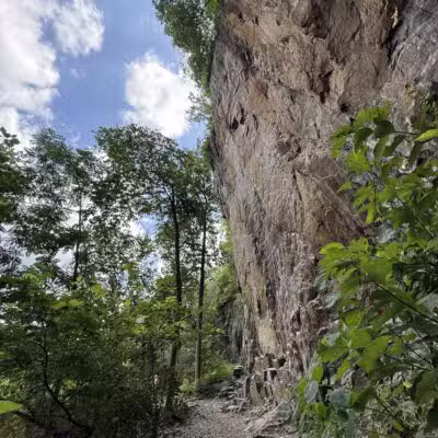 Birdsboro Preserve - Douglassville, PA
