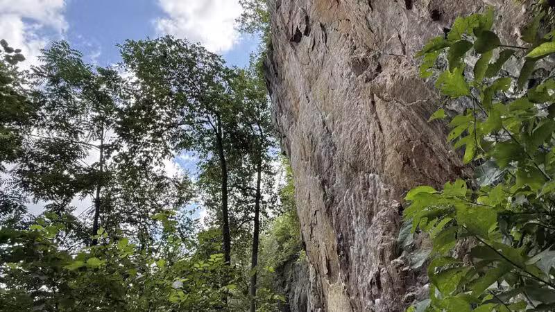 Birdsboro Preserve - Douglassville, PA