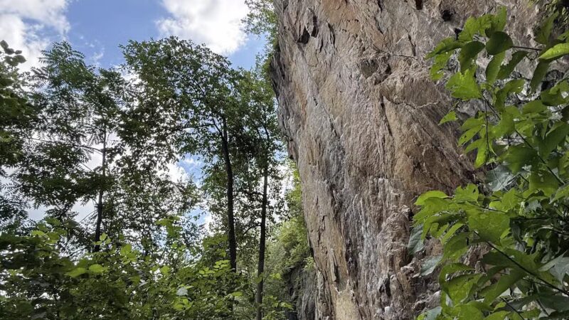 Birdsboro Preserve - Douglassville, PA