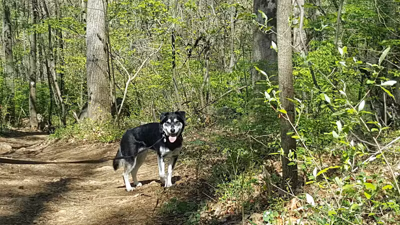 Monocacy Hill Recreation Area - Douglassville, PA