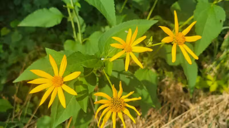 Union Township Recreation Area - Douglassville, PA