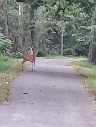 Union Township Recreation Area - Douglassville, PA