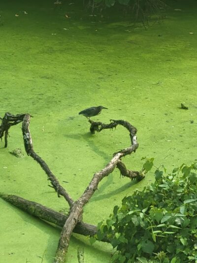 Union Township Recreation Area - Douglassville, PA