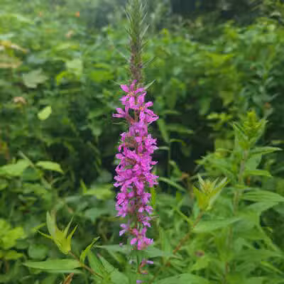Union Township Recreation Area - Douglassville, PA