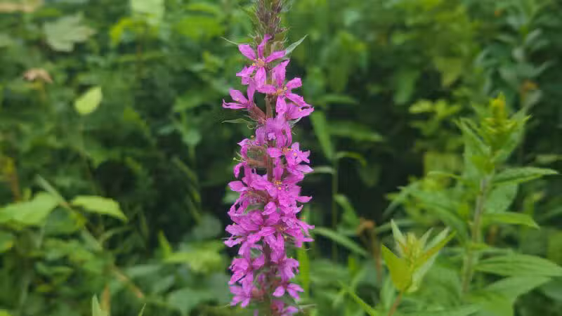 Union Township Recreation Area - Douglassville, PA