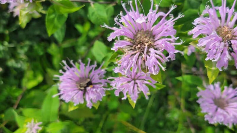 Union Township Recreation Area - Douglassville, PA