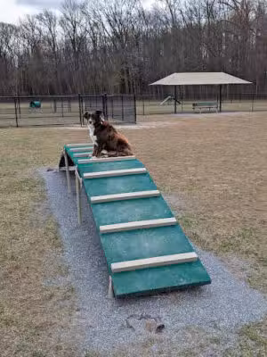 Schutte Dog Park - Dover, DE