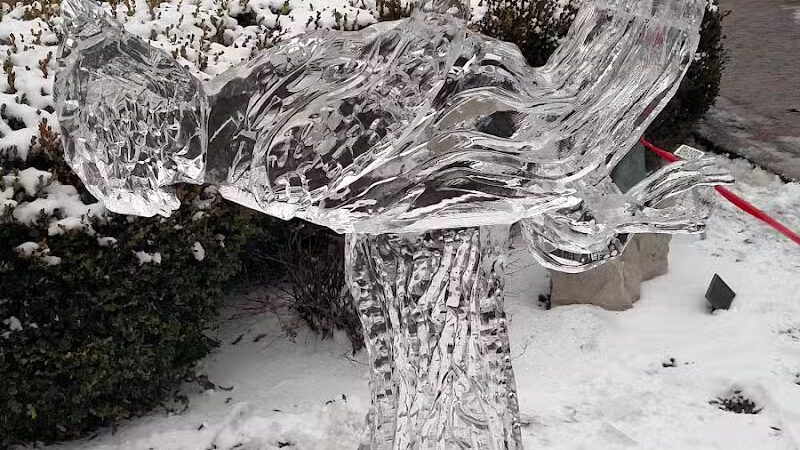 Beckwith Park - Dowagiac,