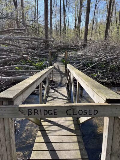 Dowagiac Woods - Dowagiac,