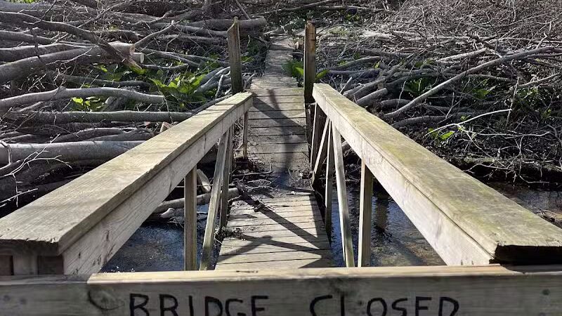 Dowagiac Woods - Dowagiac,