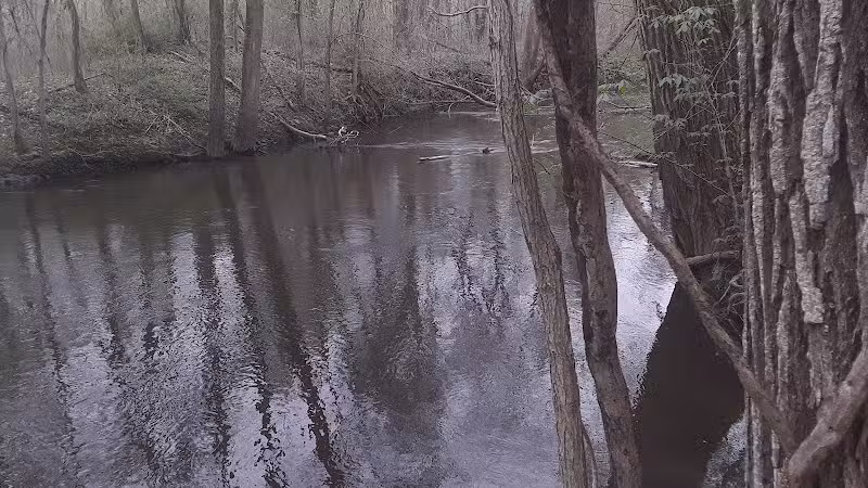 Dowagiac Woods - Dowagiac,
