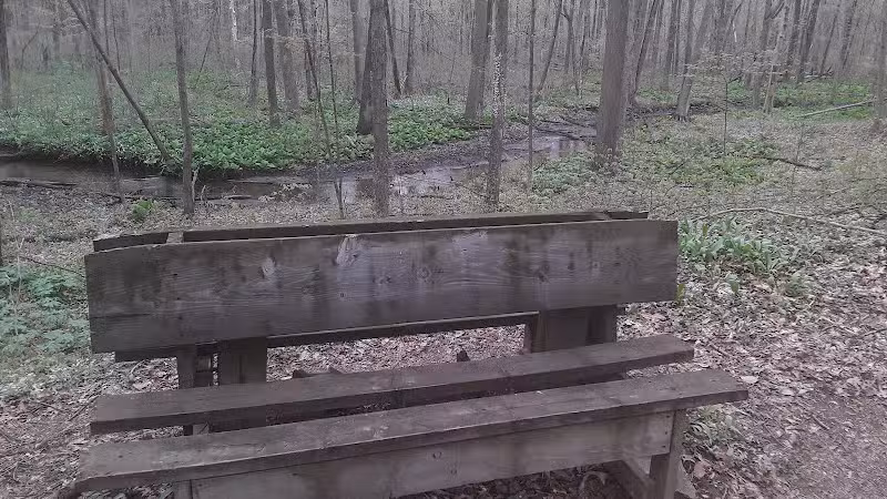 Dowagiac Woods - Dowagiac,