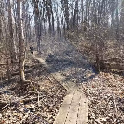 Dowagiac Woods Nature Sanctuary - Dowagiac,