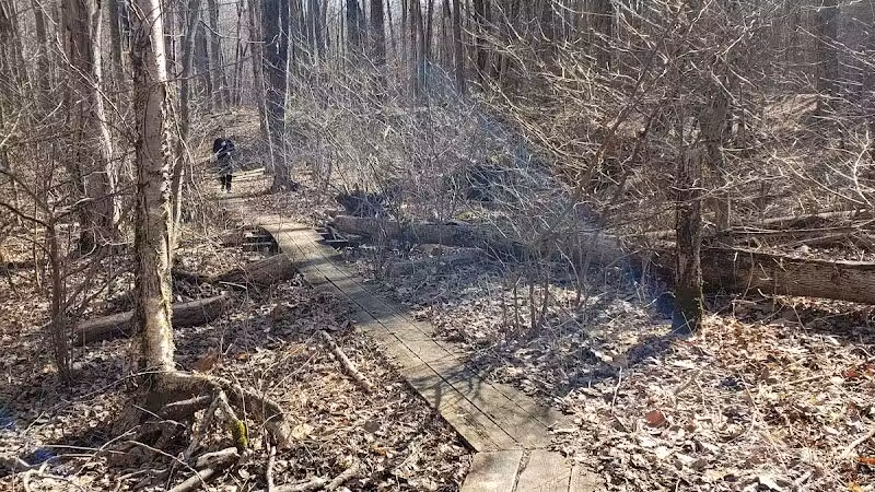 Dowagiac Woods Nature Sanctuary - Dowagiac,
