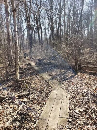 Dowagiac Woods Nature Sanctuary - Dowagiac,