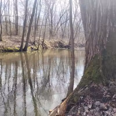 Dowagiac Woods Nature Sanctuary - Dowagiac,