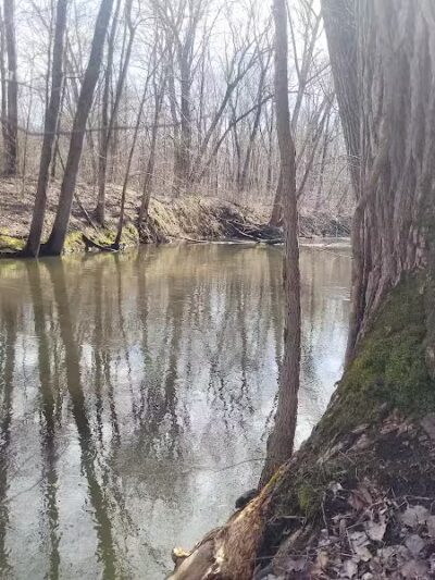 Dowagiac Woods Nature Sanctuary - Dowagiac,