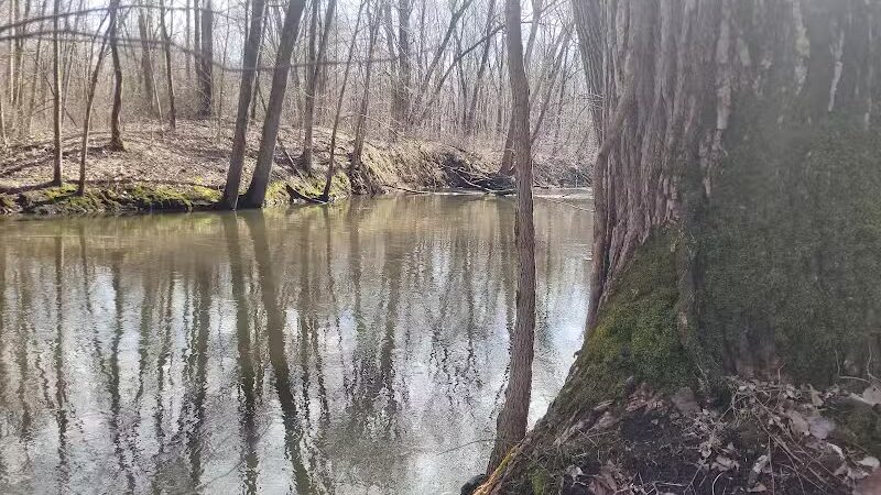Dowagiac Woods Nature Sanctuary - Dowagiac,