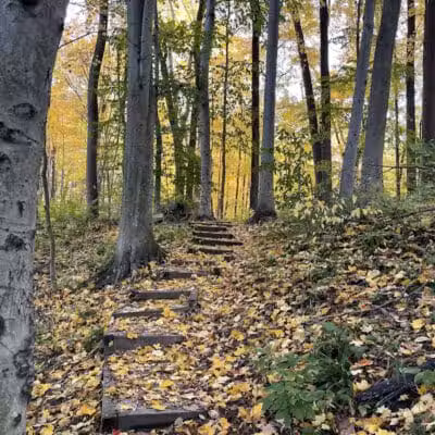 Dowagiac Woods Nature Sanctuary - Dowagiac,