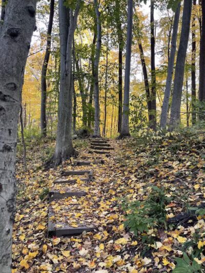 Dowagiac Woods Nature Sanctuary - Dowagiac,